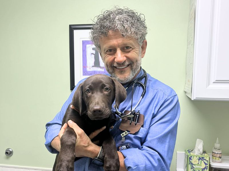 Dr. Djelmis holding a puppy