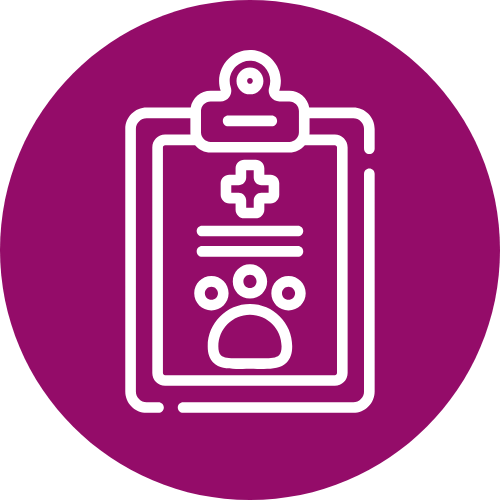 Lab Testing Icon