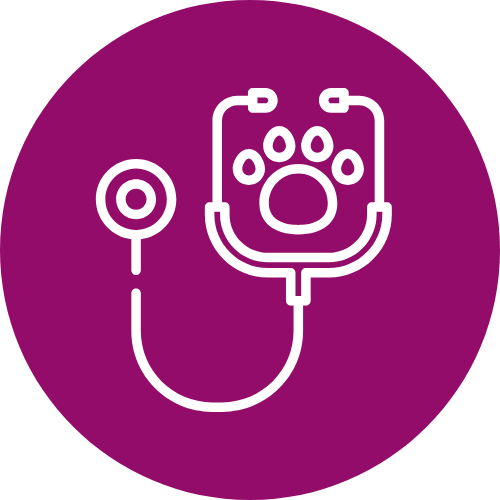 Pet Wellness Icon - full
