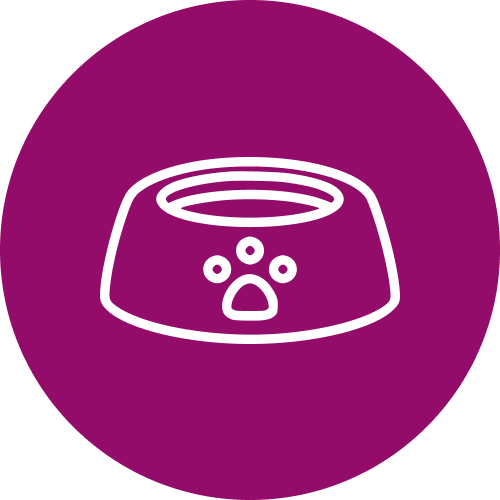 Bowl of food