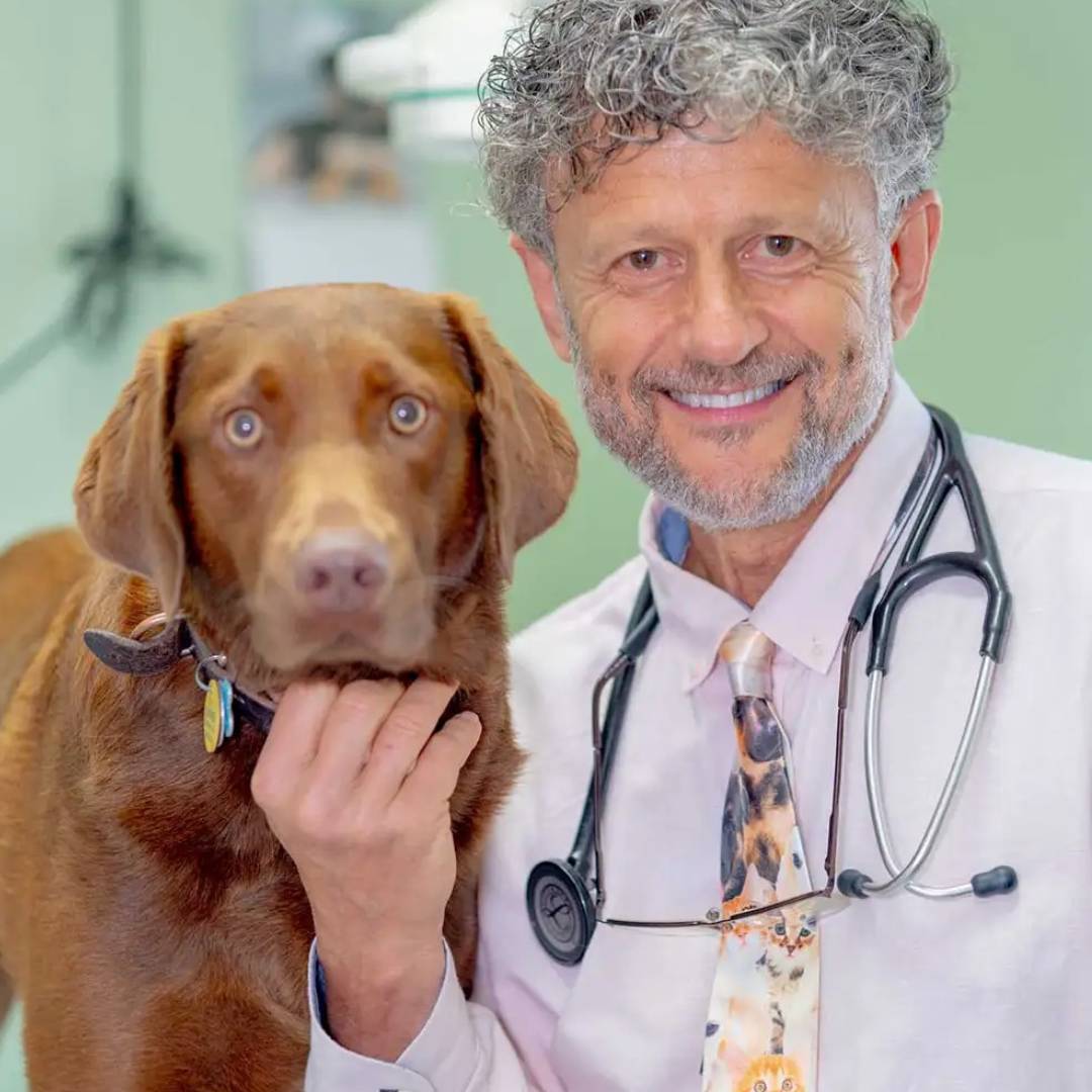 Dr. Zoltan Djelmis, DVM