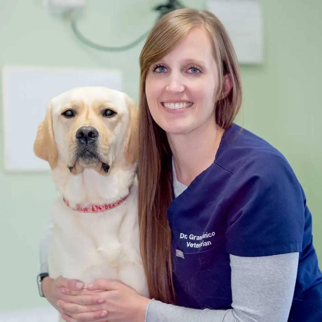 Dr. Grandominico, DVM