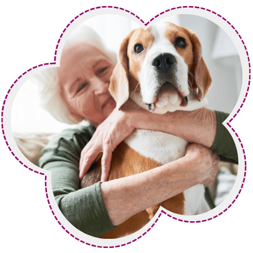 Elderly woman hugs beagle