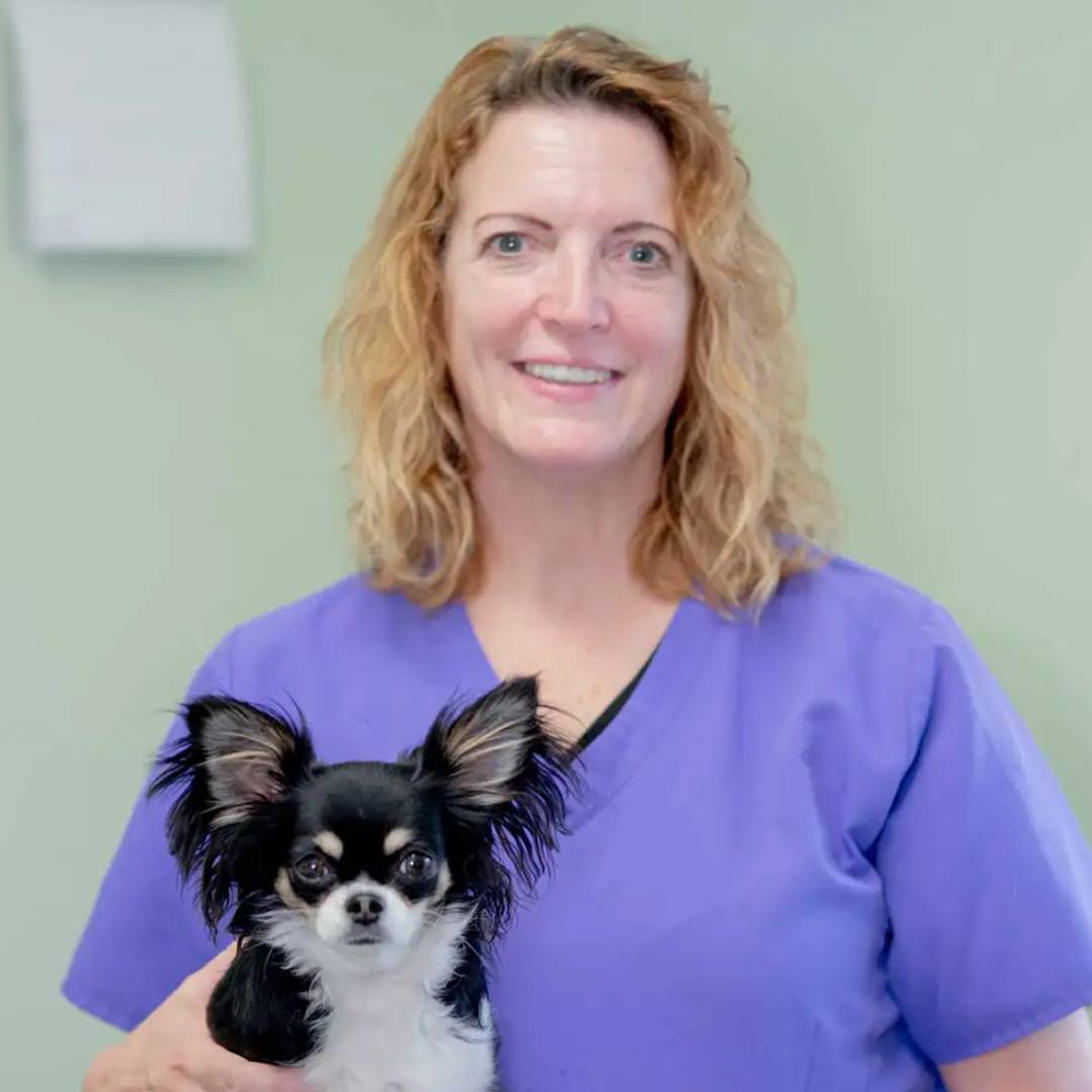 Juli-Vet-Assistant Juli