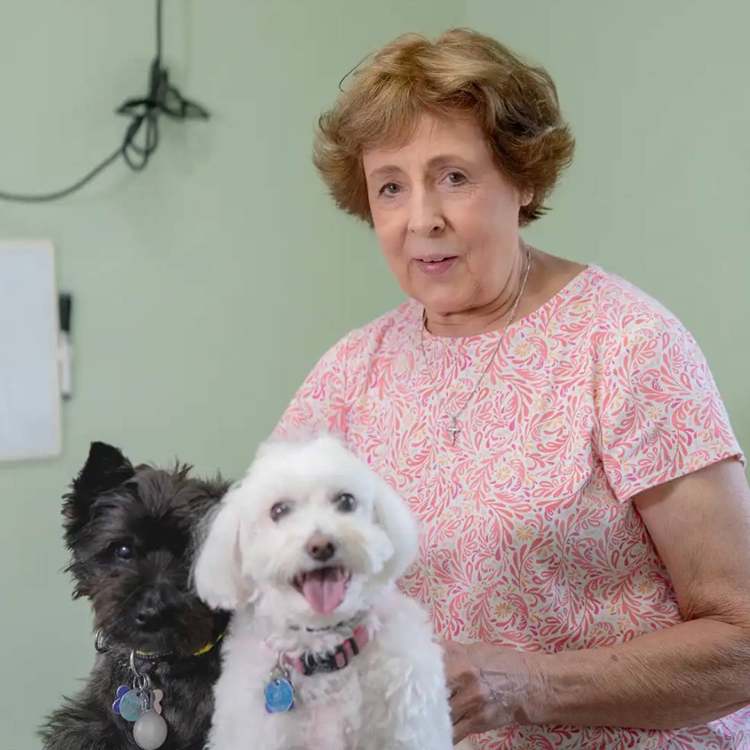 Karen-Groomer Karen