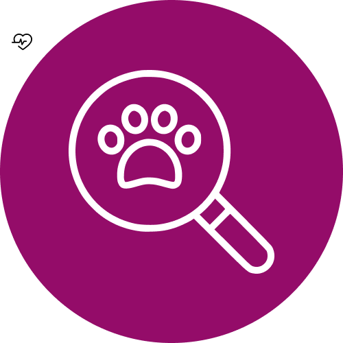 Magnifying glass with a paw