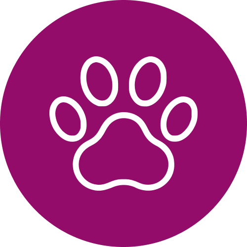 paw print icon