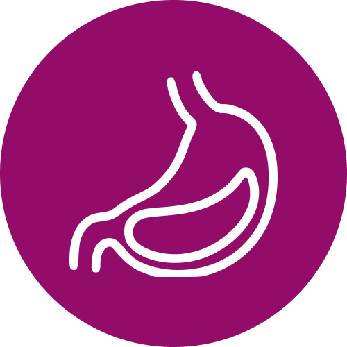 intestine diagram
