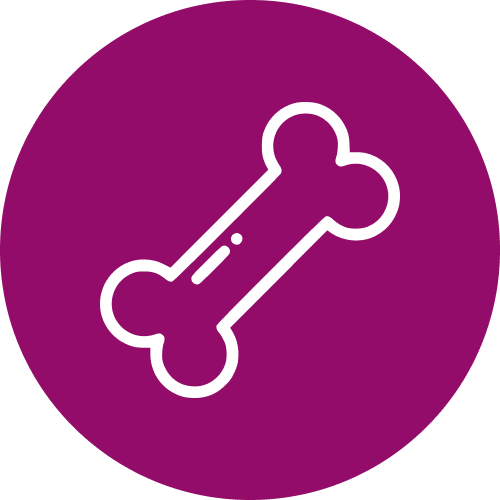 pet microchipping
