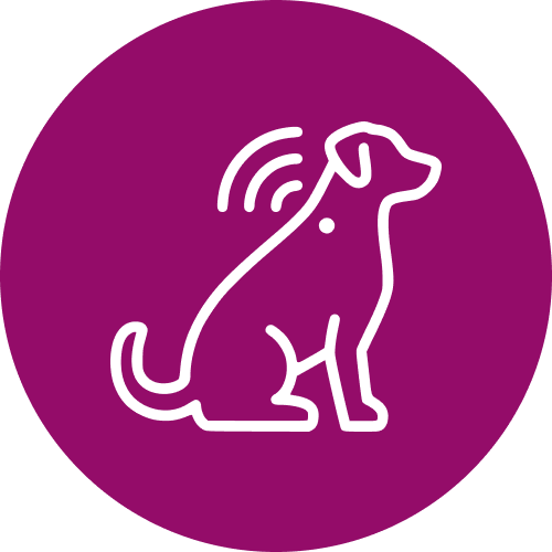 pet microchipping
